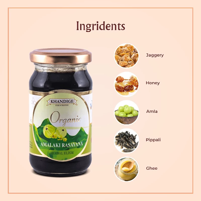 Khandige Organic Certified Amalaki Rasayana, 250 g-4.webp